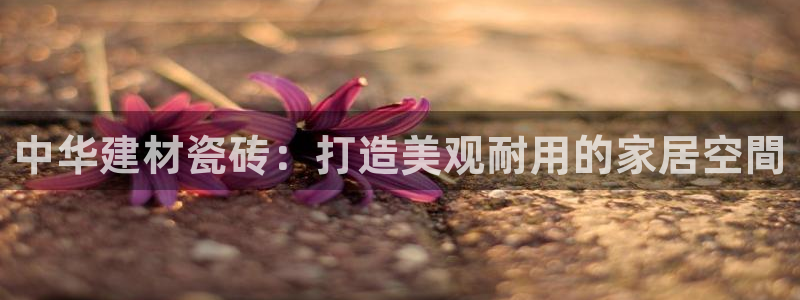 杏鑫注册登录平台是什么