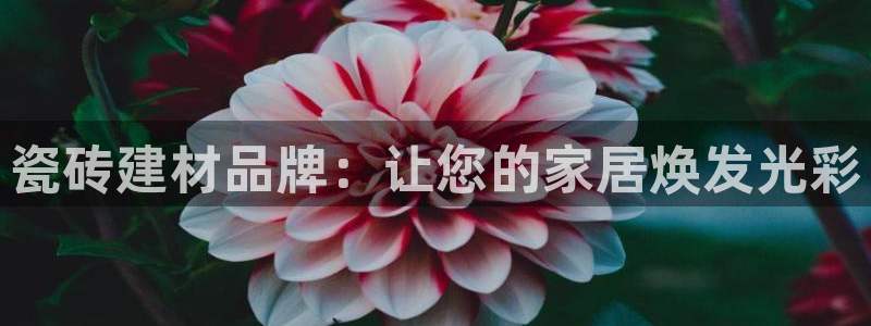 杏鑫注册平台官方网站下载