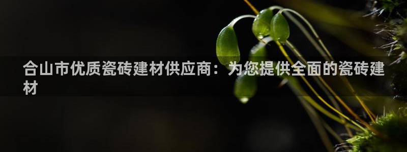 杏鑫官网注册账号是什么意思