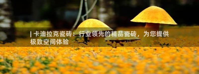 杏鑫代理注册登录