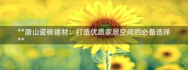 杏鑫平台代理注册多少钱一年