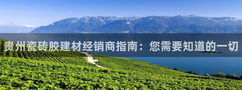 杏鑫平台登录地址是什么