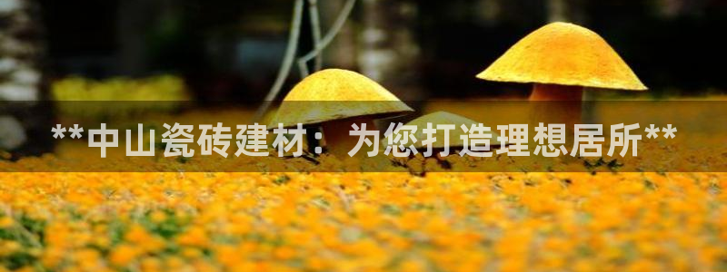 杏鑫平台代理注册流程