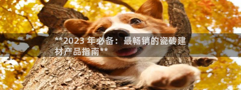 杏鑫平台代理注册流程图