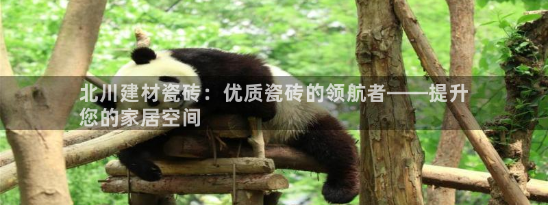 杏鑫官网注册账号密码是什么