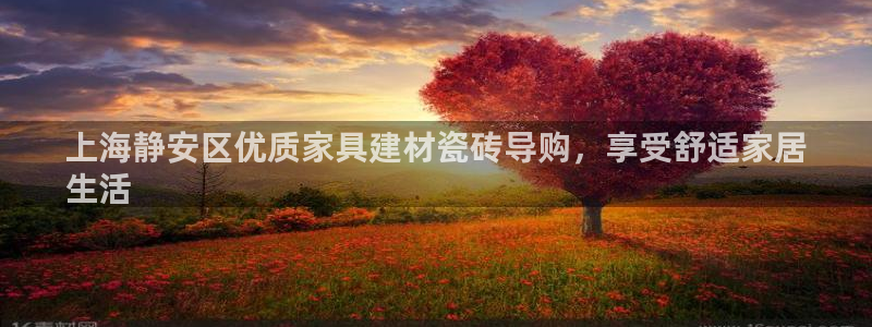 杏鑫平台注册地址在哪里