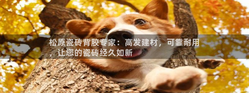 杏鑫平台代理注册登录不了怎么办呀视频