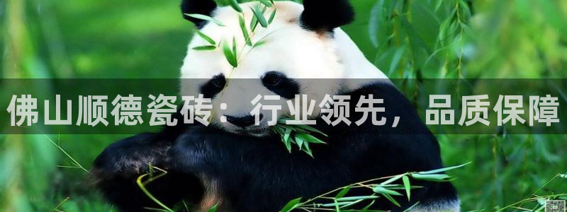 杏鑫官网注册账号密码忘了