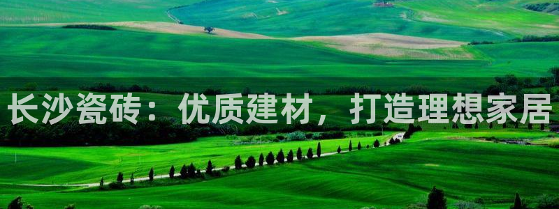 杏鑫平台注册入口