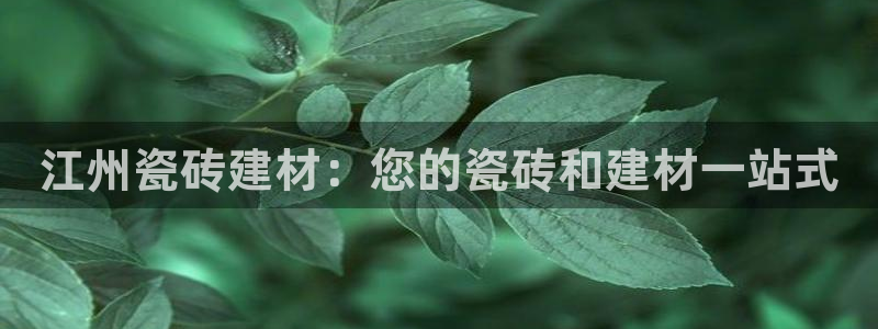 杏鑫官网注册账号是什么