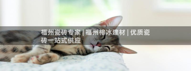 杏鑫平台注册入口在哪