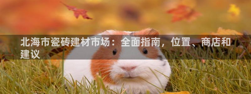 杏鑫娱乐是合法的吗是真的吗