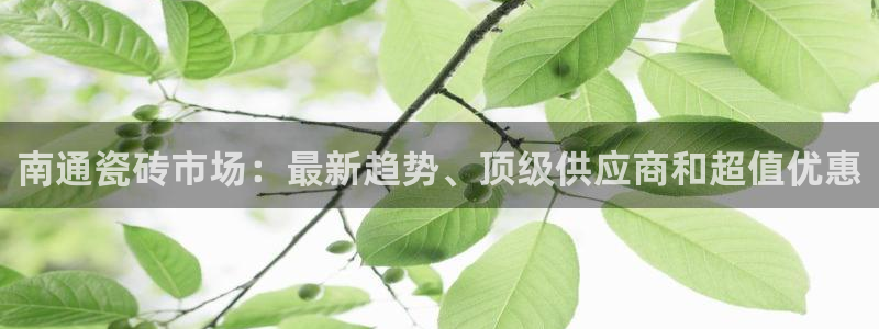 杏鑫平台代理怎么做赚钱