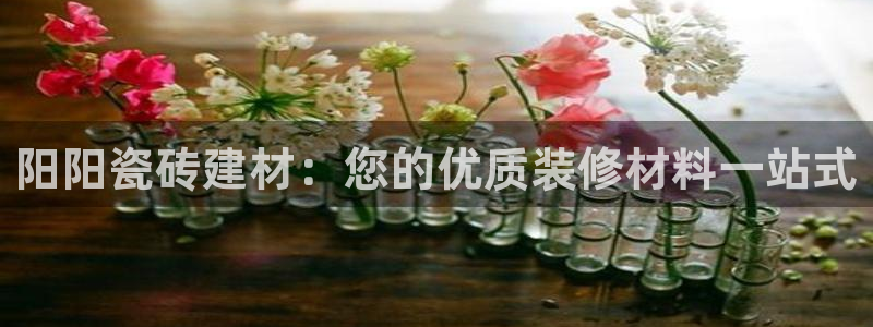 杏鑫娱乐官网