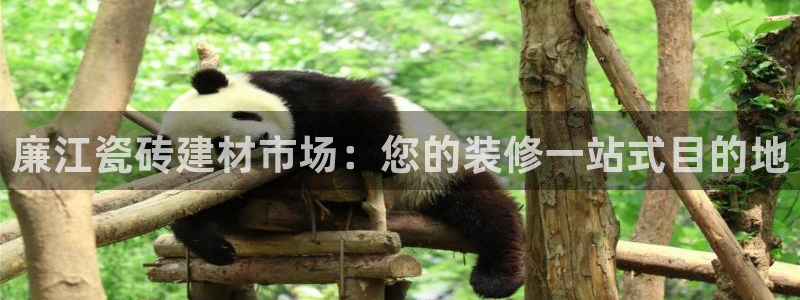 杏鑫平台怎么样黑钱吗是真的吗知乎