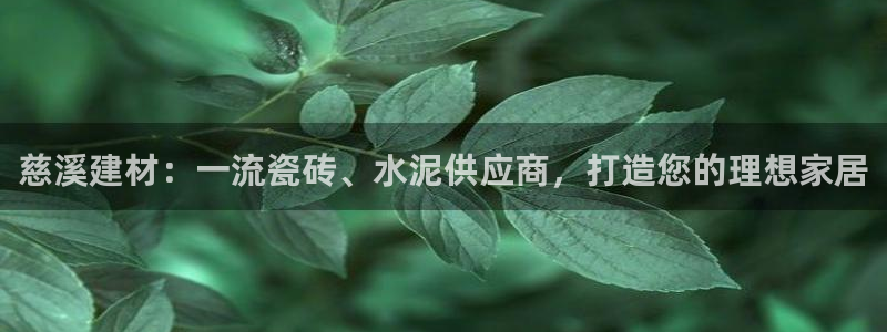 杏鑫平台怎么样