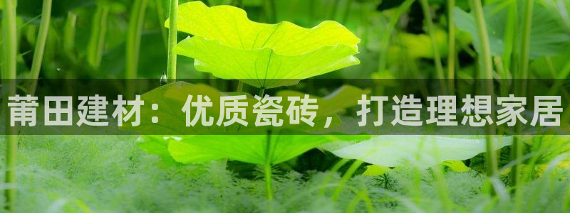 杏鑫娱乐官方网站客户端下载