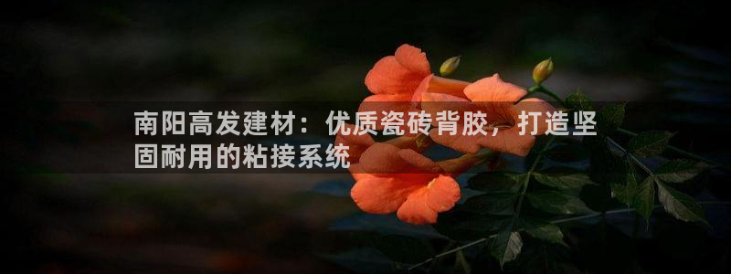 杏鑫平台登录地址查询