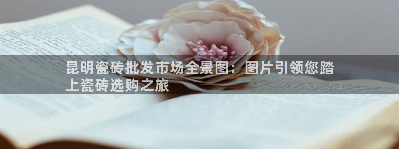 杏鑫平台招商怎么样可靠吗