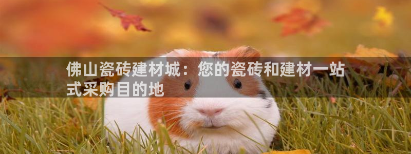 杏鑫手机客户端