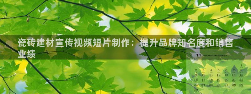 杏鑫官方平台怎么样啊知乎