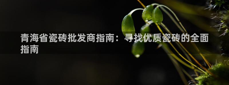 杏鑫平台招商