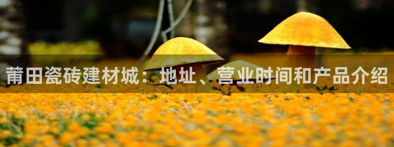 杏鑫官网注册账号