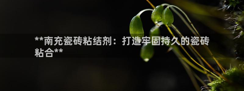 杏鑫平台号7O777