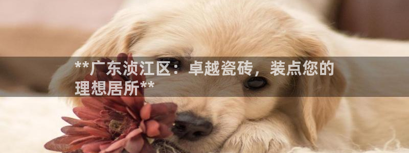 杏鑫平台直属哪个公司