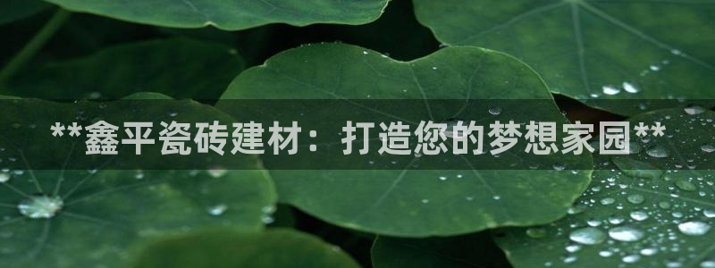 杏鑫平台代理怎么样