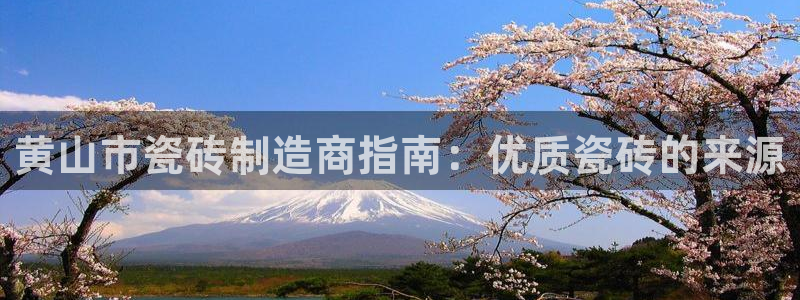 杏鑫平台在线注册