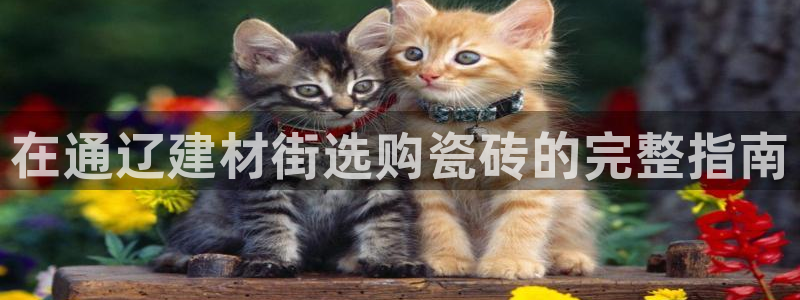 杏鑫娱乐是真的吗