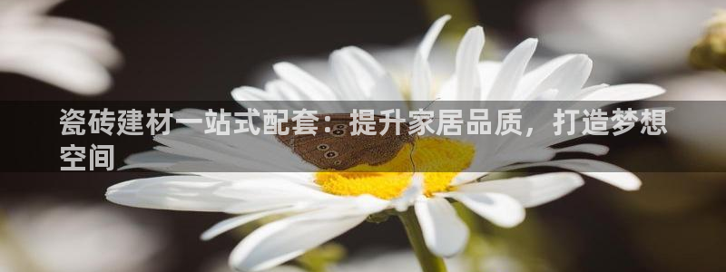 杏鑫平台念7O777