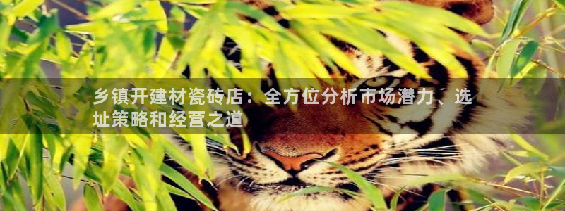 杏鑫平台代理怎么样啊