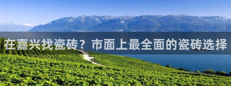 杏鑫代理注册登录