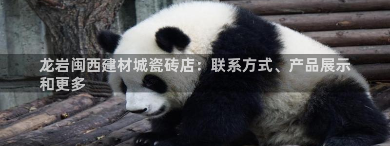 杏鑫官网最新信息