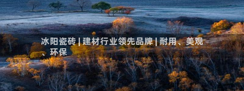 杏鑫注册登录代理公司