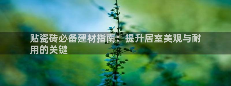 杏鑫娱乐官网
