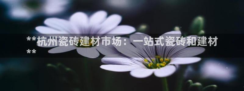 杏鑫平台注册入口在哪