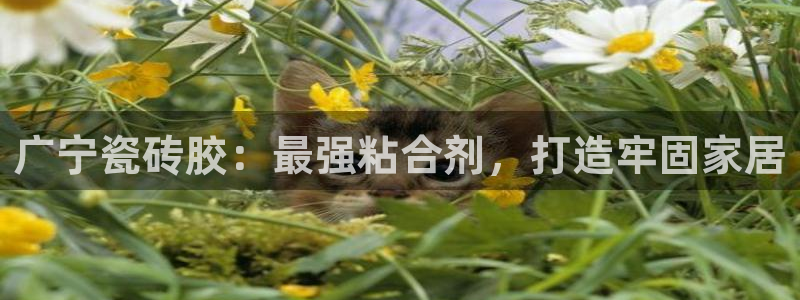 杏鑫平台怎么样黑钱吗安全吗