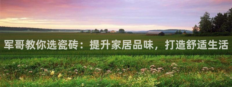 杏鑫平台代理怎么样啊