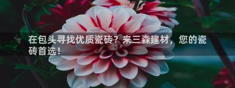 杏鑫平台平台娱乐