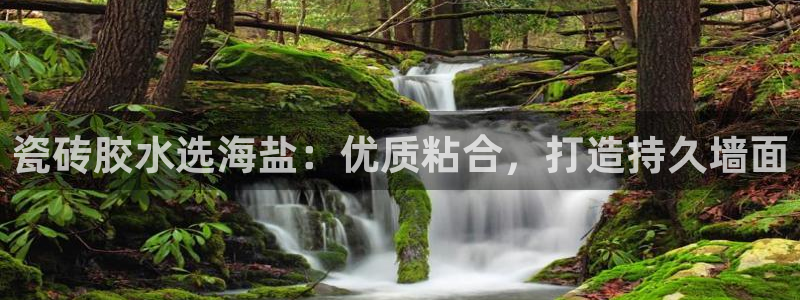 杏鑫平台登录地址