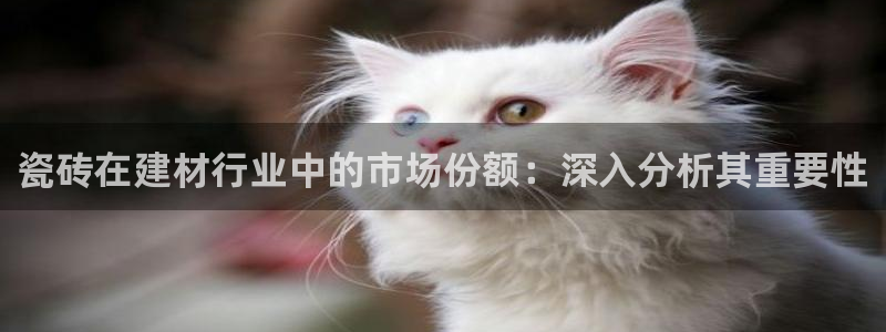 杏鑫平台招商电话号码查询
