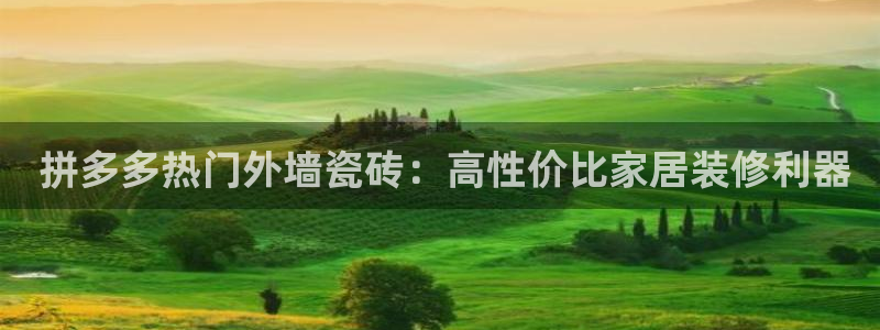 杏鑫平台代理注册登录不了怎么办呀苹果