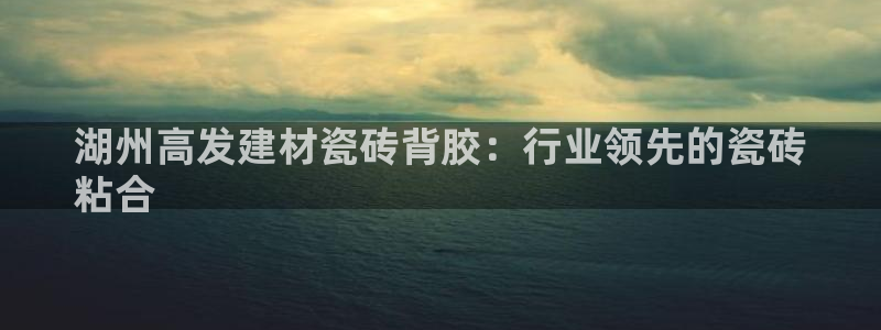 杏鑫官方app代理