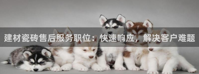 杏鑫平台怎么样黑钱吗