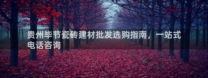 杏鑫娱乐怎么样