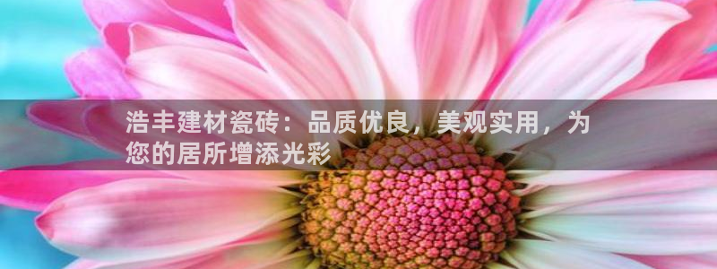 杏鑫代理注册登录