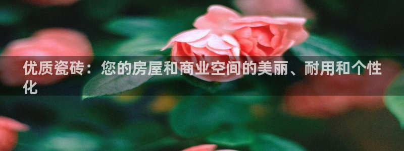 杏鑫平台怎么样黑钱吗安全吗可靠吗